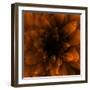 Flower Orange-Johan Lilja-Framed Giclee Print