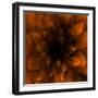 Flower Orange-Johan Lilja-Framed Giclee Print