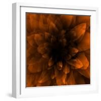 Flower Orange-Johan Lilja-Framed Giclee Print