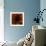 Flower Orange-Johan Lilja-Framed Giclee Print displayed on a wall