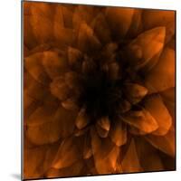 Flower Orange-Johan Lilja-Mounted Giclee Print