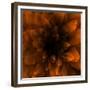 Flower Orange-Johan Lilja-Framed Giclee Print