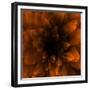 Flower Orange-Johan Lilja-Framed Giclee Print