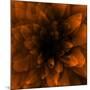 Flower Orange-Johan Lilja-Mounted Giclee Print