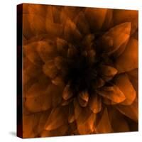 Flower Orange-Johan Lilja-Stretched Canvas