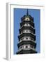 Flower Pagoda, Buddhist Temple of Six Banyan Trees, Canton (Guangzhou), Guangdong, China-null-Framed Premium Giclee Print