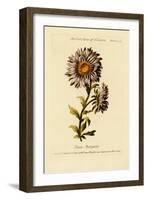 Flower Painting Made Easy, Being a Collection of Correct Outlines After Nature-Thomas Parkinson-Framed Giclee Print