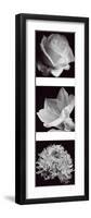 Flower Panel I-Bill Philip-Framed Giclee Print