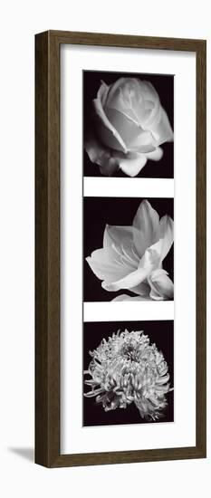 Flower Panel I-Bill Philip-Framed Giclee Print