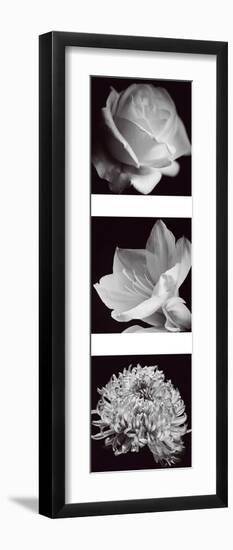 Flower Panel I-Bill Philip-Framed Giclee Print