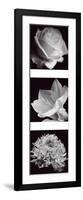 Flower Panel I-Bill Philip-Framed Giclee Print