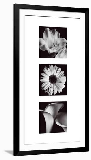 Flower Panel II-Bill Philip-Framed Giclee Print