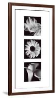 Flower Panel II-Bill Philip-Framed Giclee Print