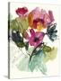 Flower Party II-Jennifer Goldberger-Stretched Canvas