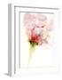 Flower Passion I-Jennifer Goldberger-Framed Art Print