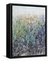 Flower Patch-Tim O'toole-Framed Stretched Canvas