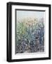 Flower Patch-Tim O'toole-Framed Giclee Print