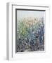 Flower Patch-Tim O'toole-Framed Giclee Print