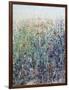 Flower Patch-Tim O'toole-Framed Giclee Print