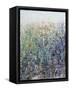 Flower Patch-Tim O'toole-Framed Stretched Canvas