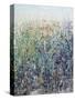 Flower Patch-Tim O'toole-Stretched Canvas