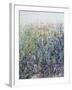 Flower Patch-Tim O'toole-Framed Giclee Print