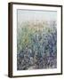 Flower Patch-Tim O'toole-Framed Giclee Print