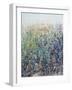 Flower Patch-Tim O'toole-Framed Giclee Print