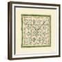 Flower Patchwork-Robin Betterley-Framed Giclee Print