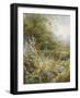 Flower Path-Hilary Scoffield-Framed Giclee Print