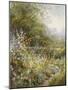 Flower Path-Hilary Scoffield-Mounted Giclee Print