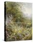 Flower Path-Hilary Scoffield-Stretched Canvas