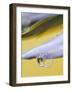 Flower Petal with Drop and Reflection-Nancy Rotenberg-Framed Photographic Print