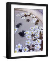 Flower Petals in Hotel Lobby, Goa, India, Asia-Stuart Black-Framed Photographic Print