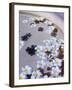 Flower Petals in Hotel Lobby, Goa, India, Asia-Stuart Black-Framed Photographic Print