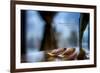 Flower petals on a counter top with Lady Bird Johnson Quote-null-Framed Photo