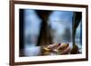 Flower petals on a counter top with Lady Bird Johnson Quote-null-Framed Photo