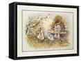 Framed Canvas
