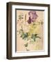 Flower Piece with Iris, Laburnum, and Geranium, 1880-Edouard Manet-Framed Giclee Print