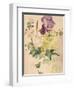 Flower Piece with Iris, Laburnum, and Geranium, 1880-Edouard Manet-Framed Giclee Print