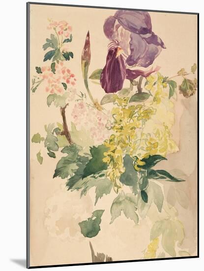 Flower Piece with Iris, Laburnum, and Geranium, 1880-Edouard Manet-Mounted Giclee Print