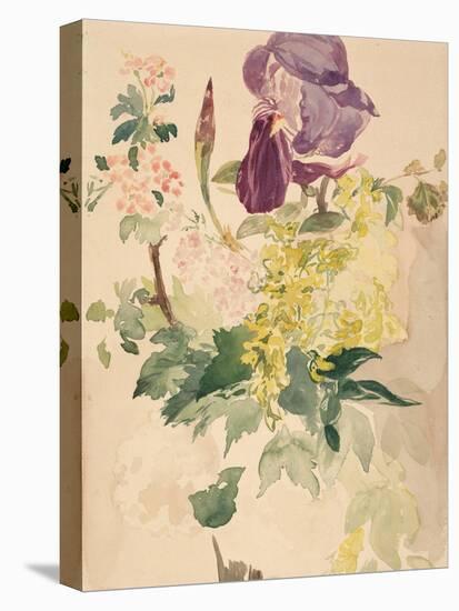 Flower Piece with Iris, Laburnum, and Geranium, 1880-Edouard Manet-Stretched Canvas