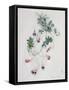 Flower Pieces-Marie-Anne-Framed Stretched Canvas