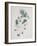 Flower Pieces-Marie-Anne-Framed Giclee Print