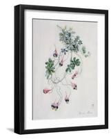 Flower Pieces-Marie-Anne-Framed Giclee Print