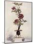 Flower-Placing-Mortimer Ludington Menpes-Mounted Giclee Print