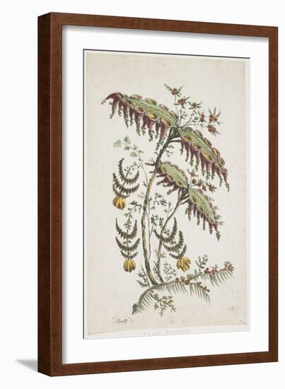 Flower Plate. Chinoiserie-Jean Baptiste Pillement-Framed Giclee Print