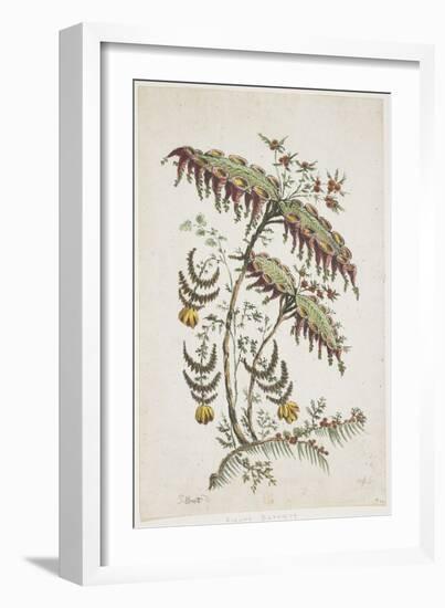 Flower Plate. Chinoiserie-Jean Baptiste Pillement-Framed Giclee Print