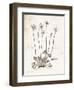 Flower Plate I-Gwendolyn Babbitt-Framed Art Print