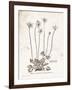 Flower Plate I-Gwendolyn Babbitt-Framed Art Print